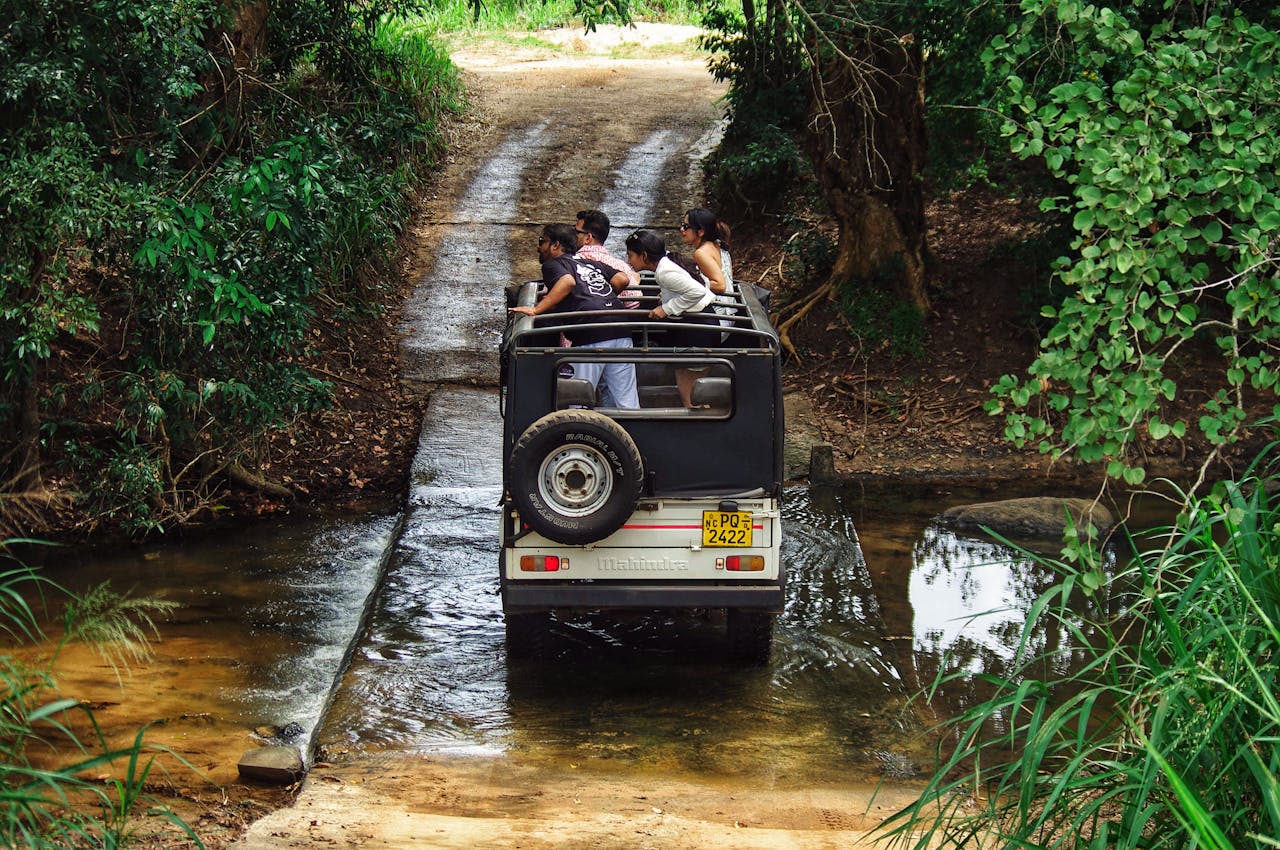 Beyond the Safari Jeep: The Complete Wildlife Guide to Sri Lanka : Leopards, Elephants, Whales, and Everything That Creeps, Swims, or Flies